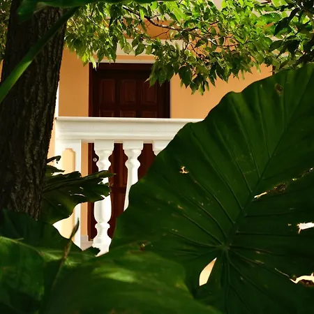 Domus Aurea 3*